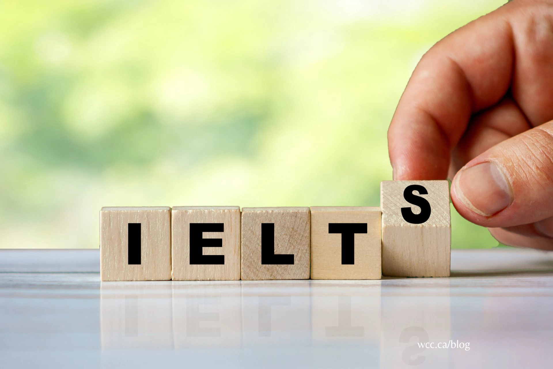 دوره های آیلتس (IELTS)